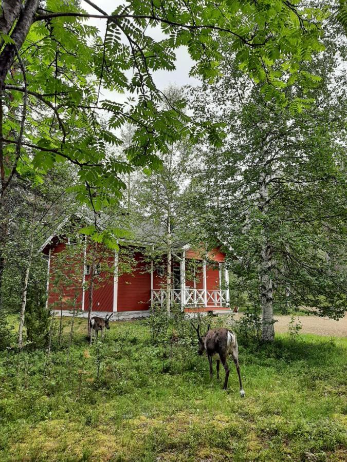 Kuosto Ja Luppo Vila Äkäslompolo Exterior foto